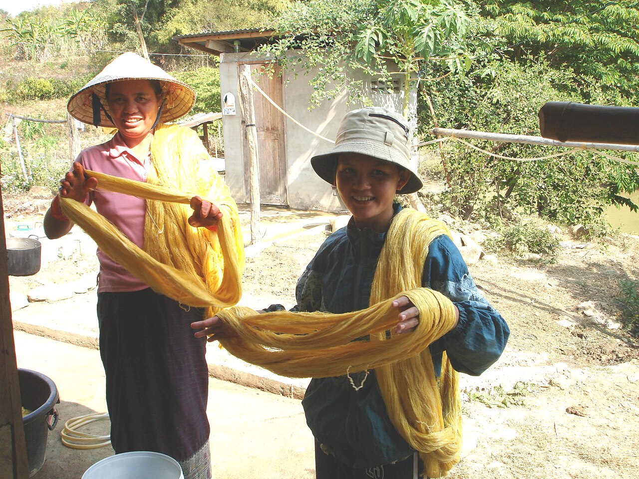 Photo: PTD Phonsavan / Wikimedia Commons, CC BY 3.0 Sinh Weaving & Handicraft Shop (sample)