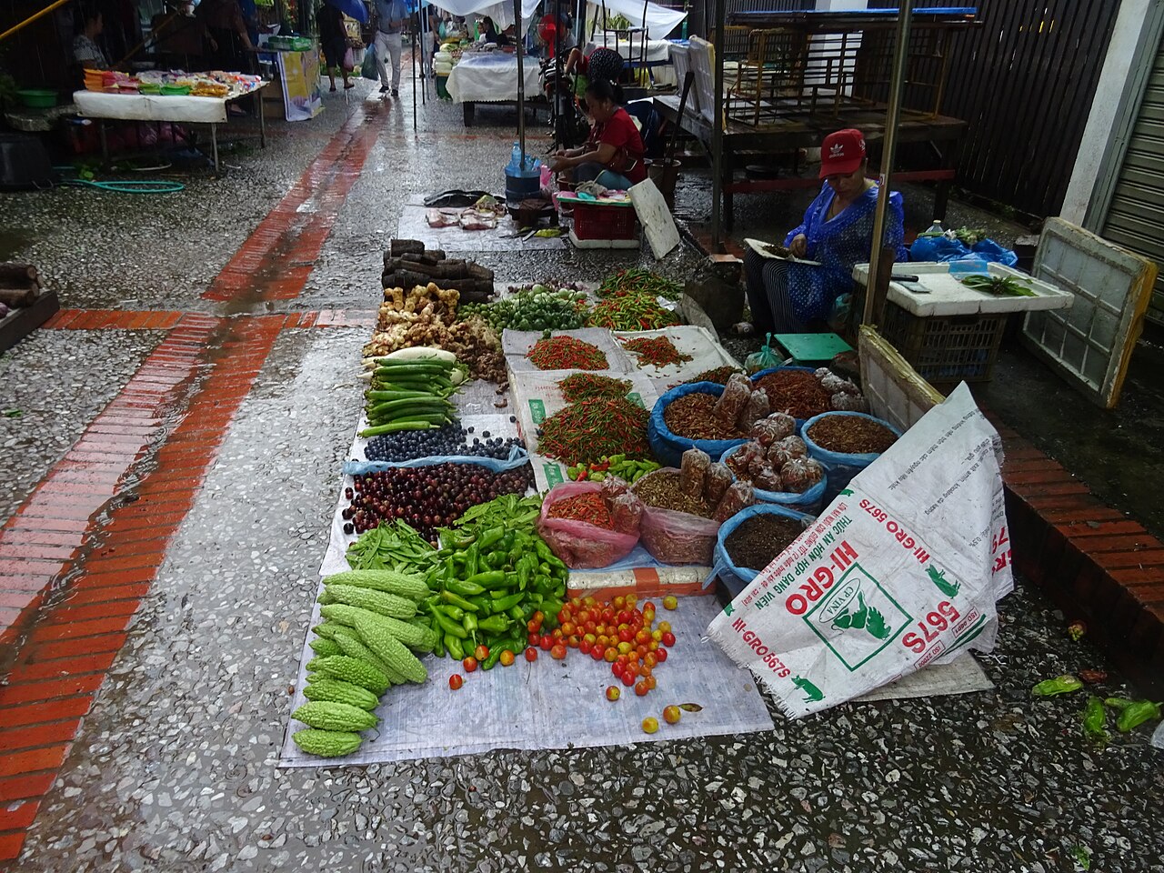 Photo: Christophe95 / Wikimedia Commons, CC BY-SA 4.0 Nakasang Travel Supplies (sample)