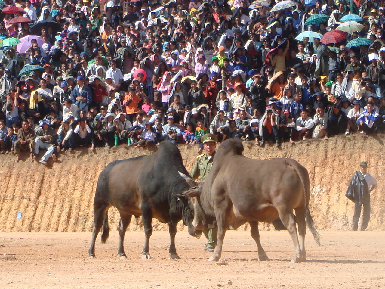 Photo: PTD Phonsavan / Wikimedia Commons, CC BY 3.0 ปีใหม่ม้ง โพนสะหวัน เชียงขวาง 2026